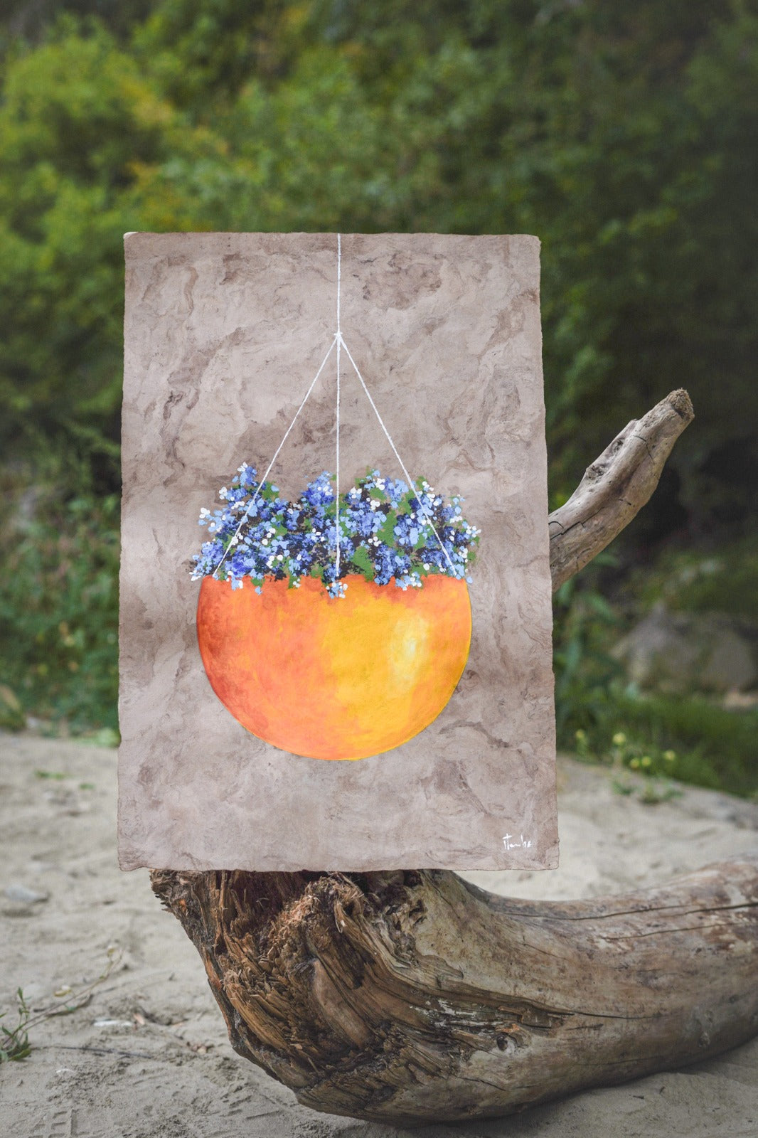 Blumen im Topf blau / orange